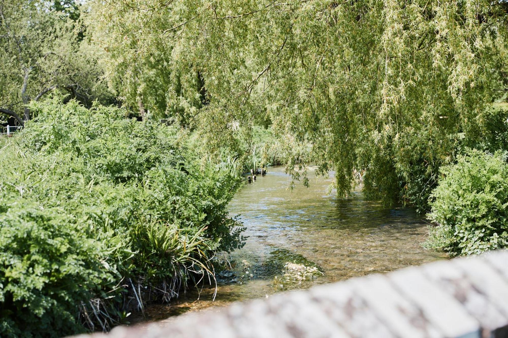 Carhampton The Bucks Head Bed & Breakfast エクステリア 写真